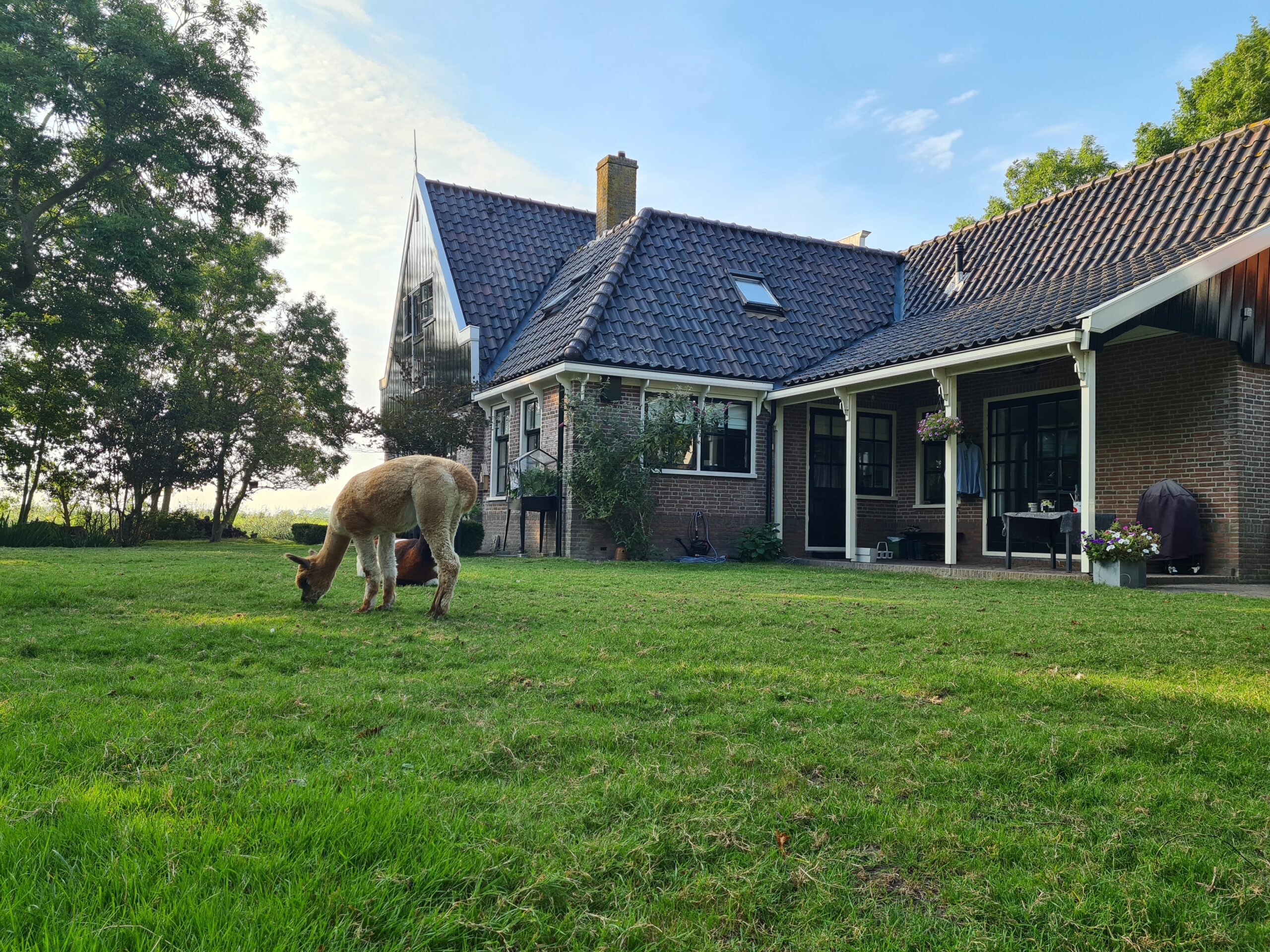 Woonboerderij, Zuid schermer